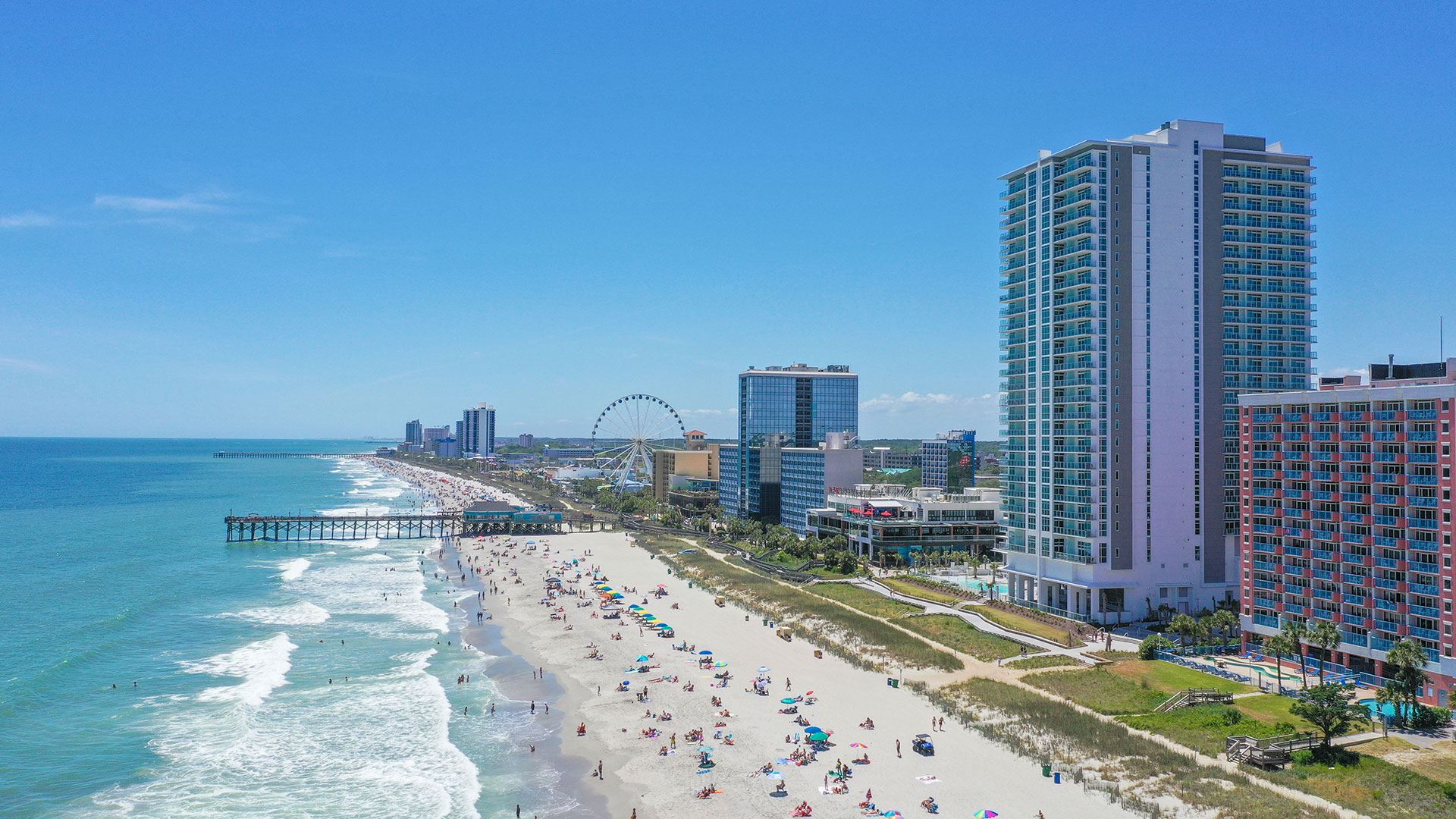 Insurance Solutions for South Carolina