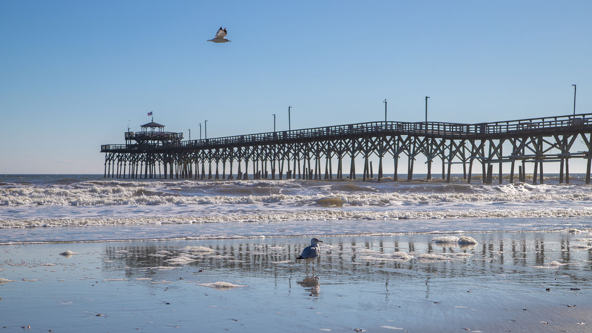 Withers Crest Privacy Policy